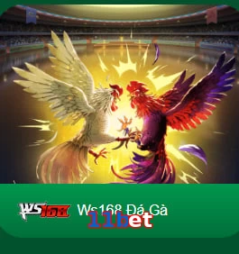 11bet